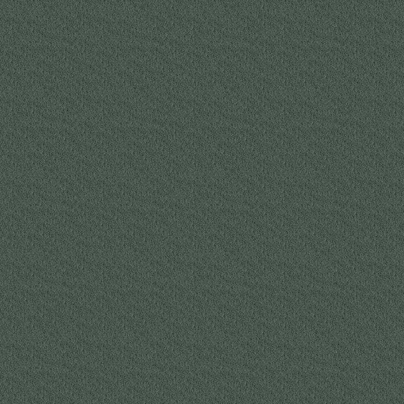 Panache carpet by Masland
