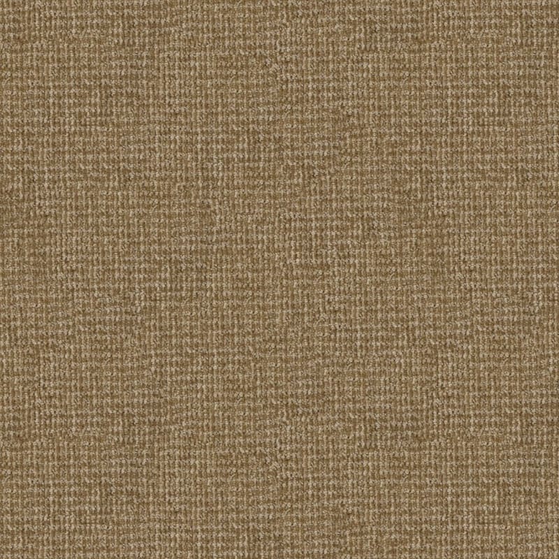 Serene Touch carpet by Masland