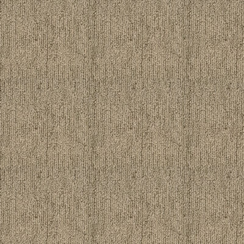 Mesa Bella carpet by Masland
