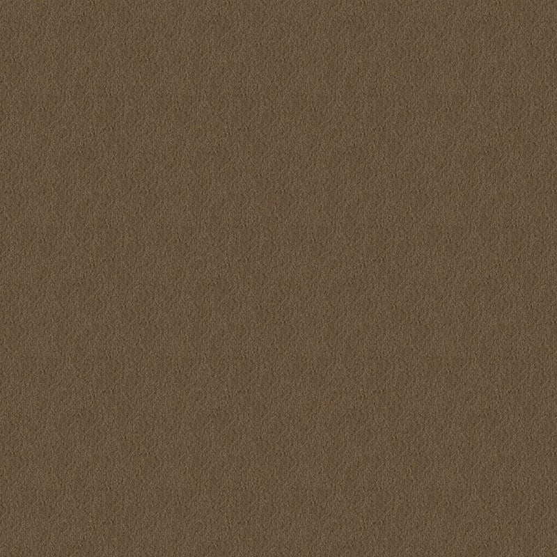 Panache carpet by Masland