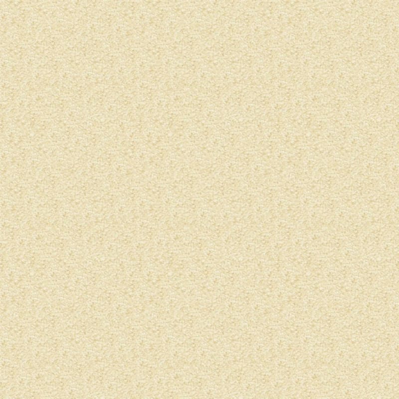 Delray carpet by Masland