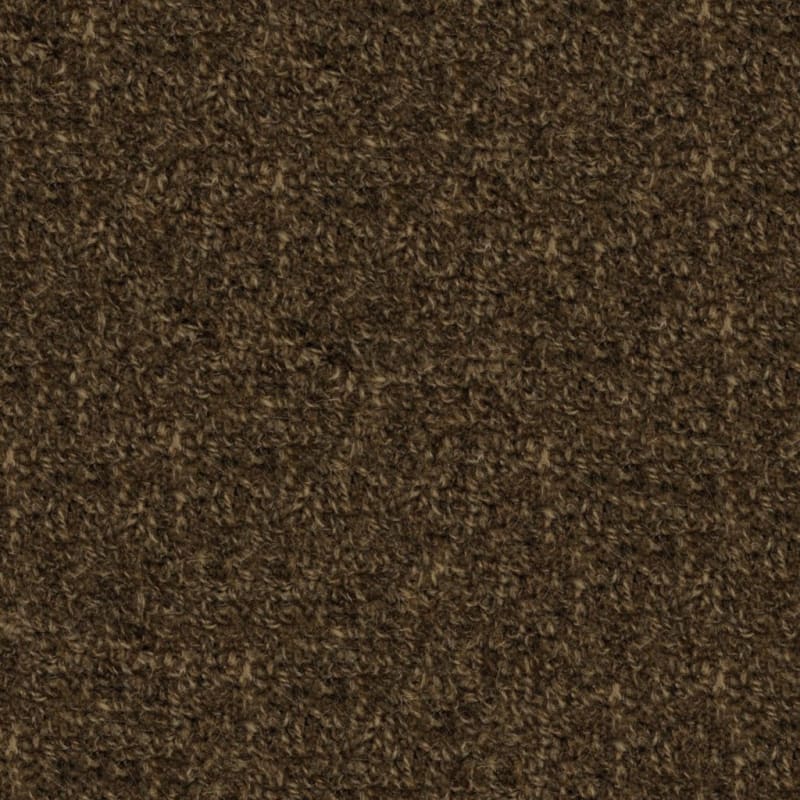 Highland carpet by Masland