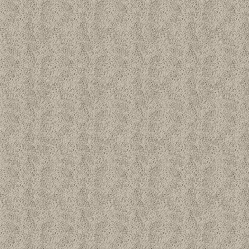 Novellino carpet by Masland