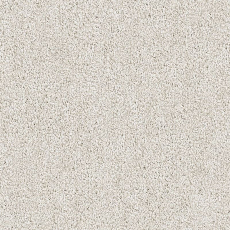 Buena Vida carpet by Masland
