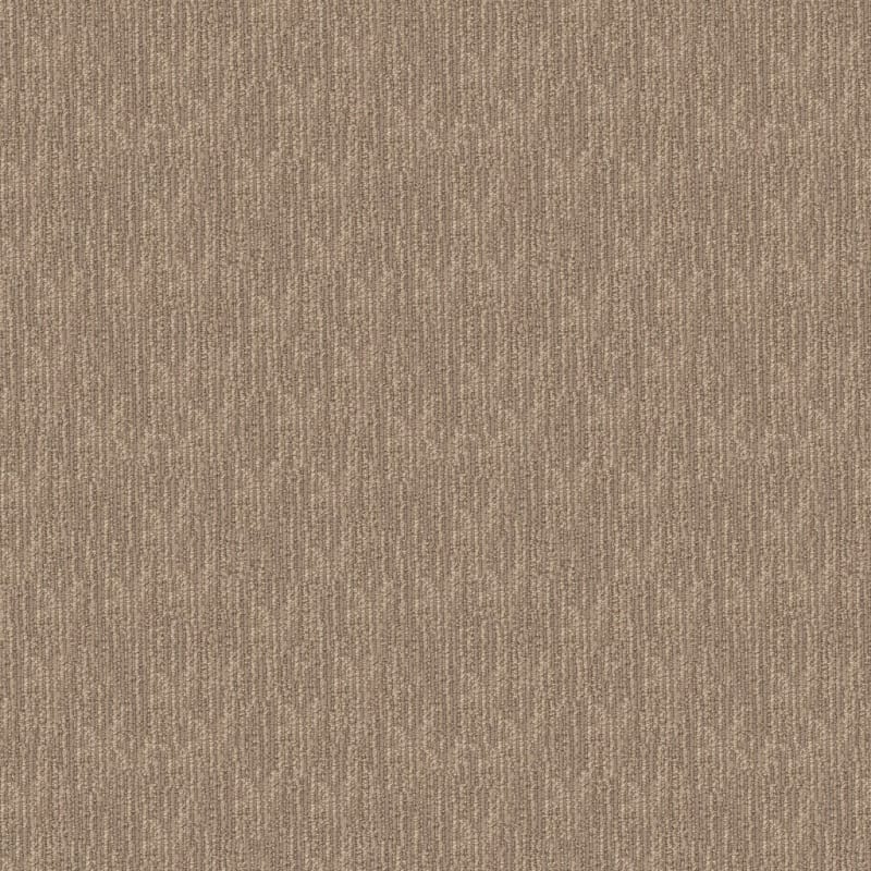 Belmond carpet by Masland