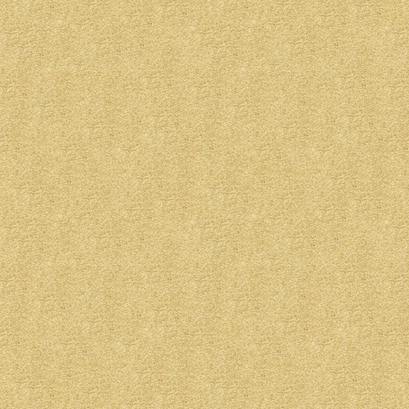Vero Beach carpet by Masland