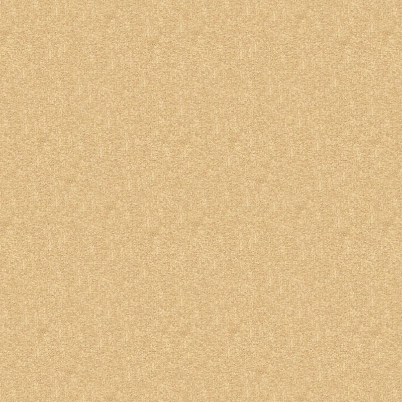 Vero Beach carpet by Masland