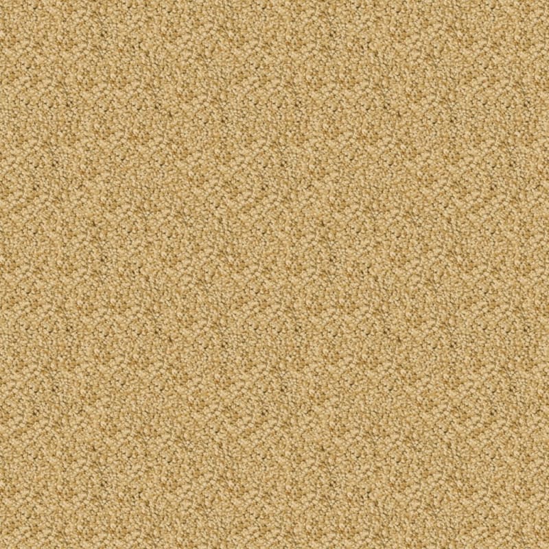 Shangri-La carpet by Masland