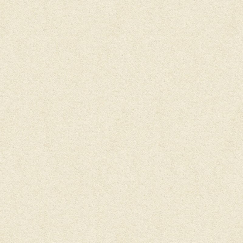 Vero Beach carpet by Masland