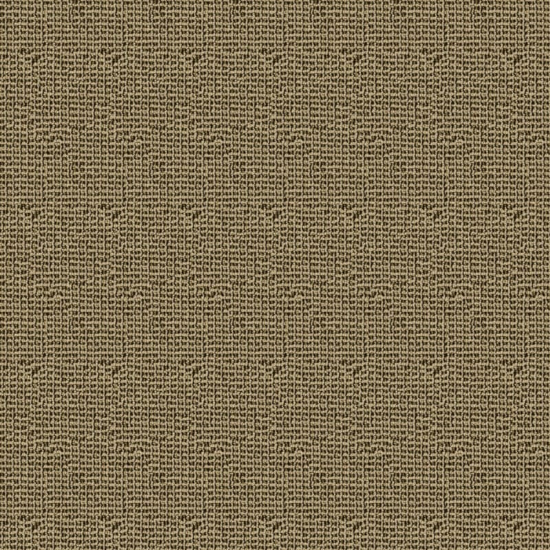Tresor carpet by Masland