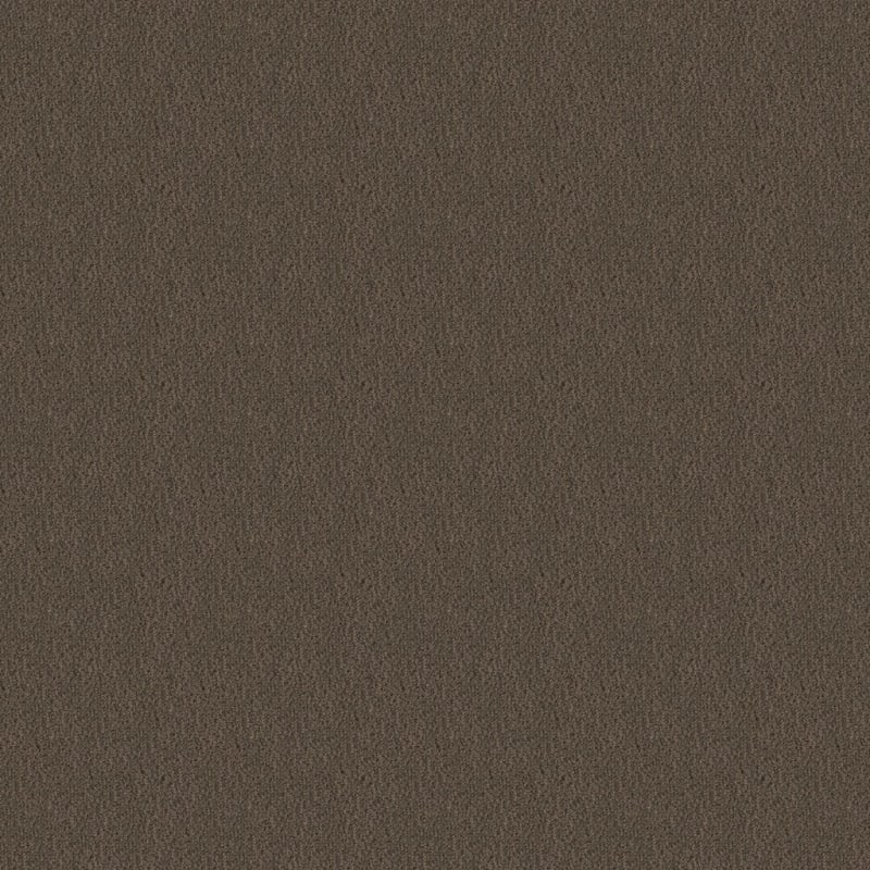 Panache carpet by Masland