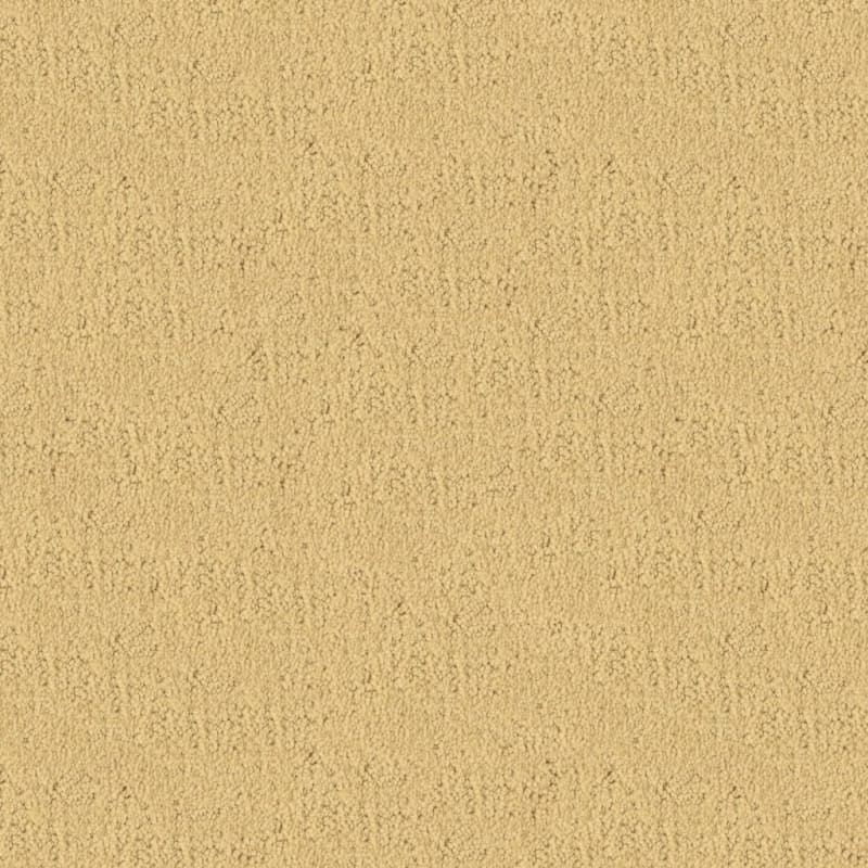 Santa Barbara carpet by Masland