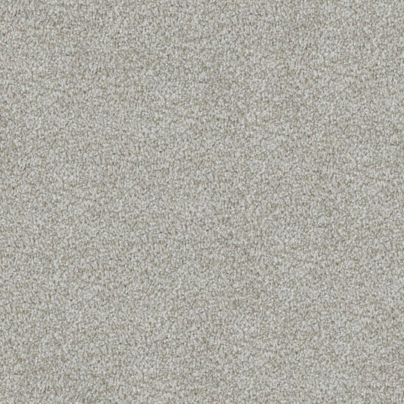 Boca Raton carpet by Masland