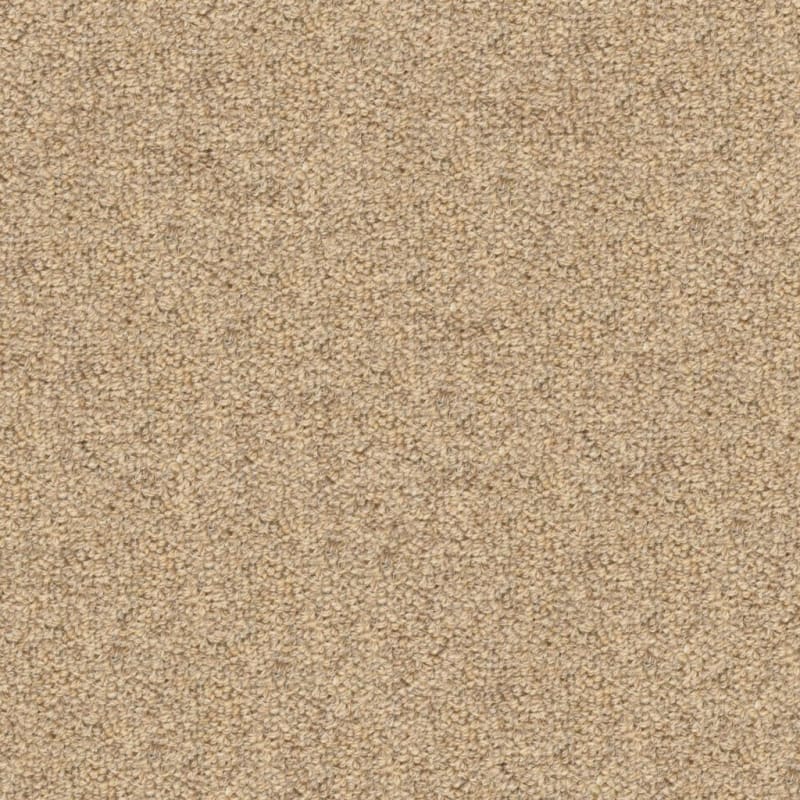 Grantham carpet by Masland
