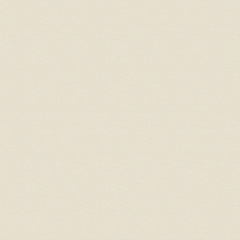 Pedigree carpet by Masland
