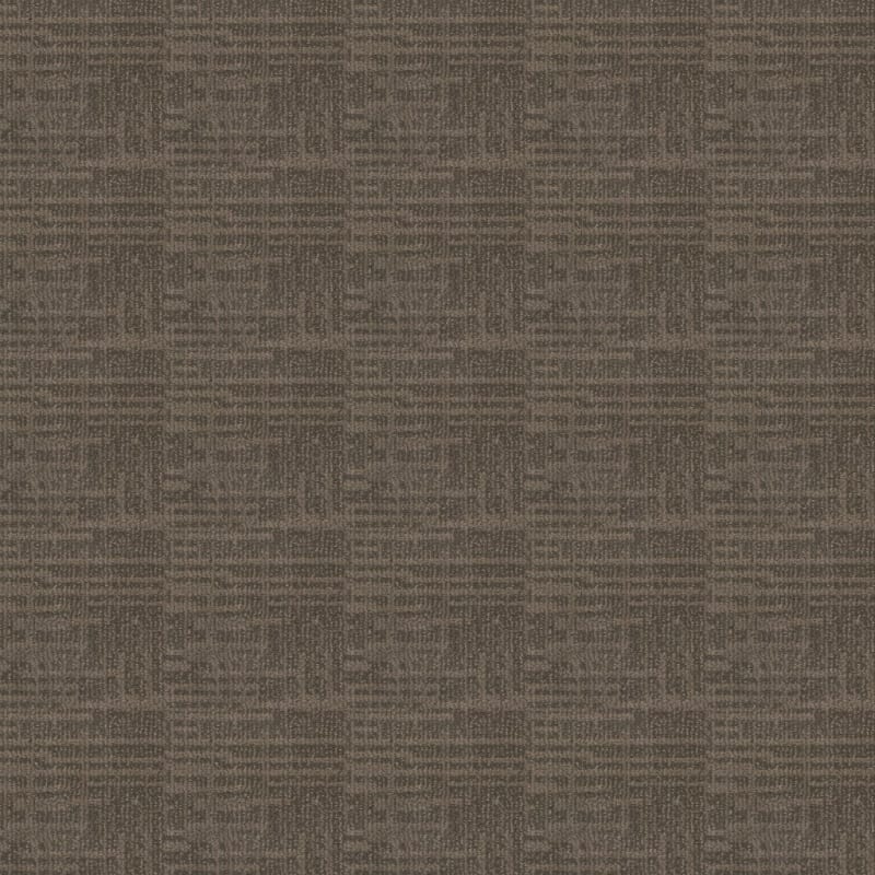Lineage carpet by Masland