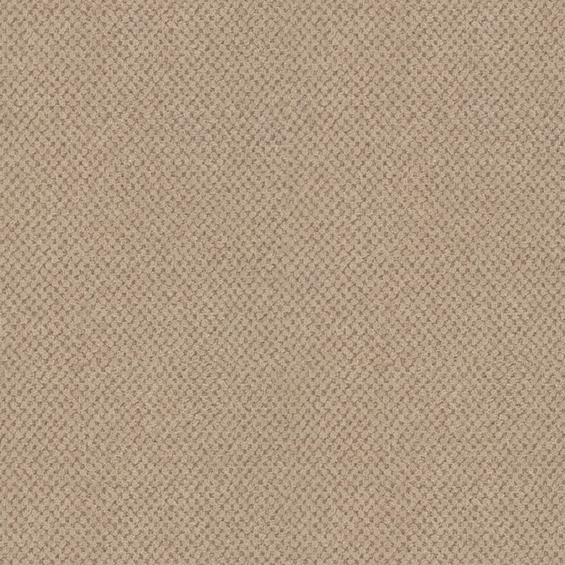 La Parade carpet by Masland