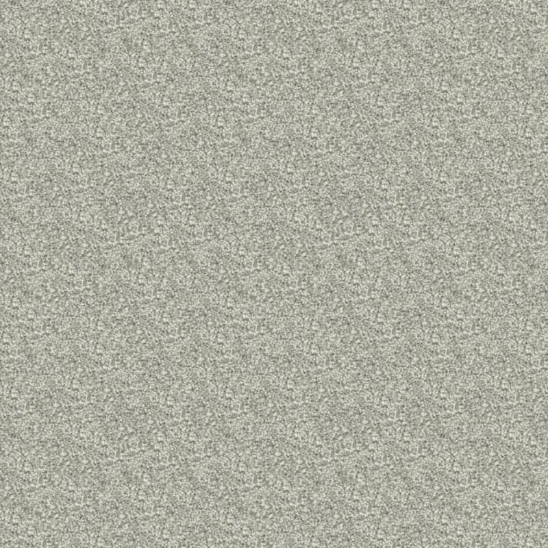 Delray carpet by Masland