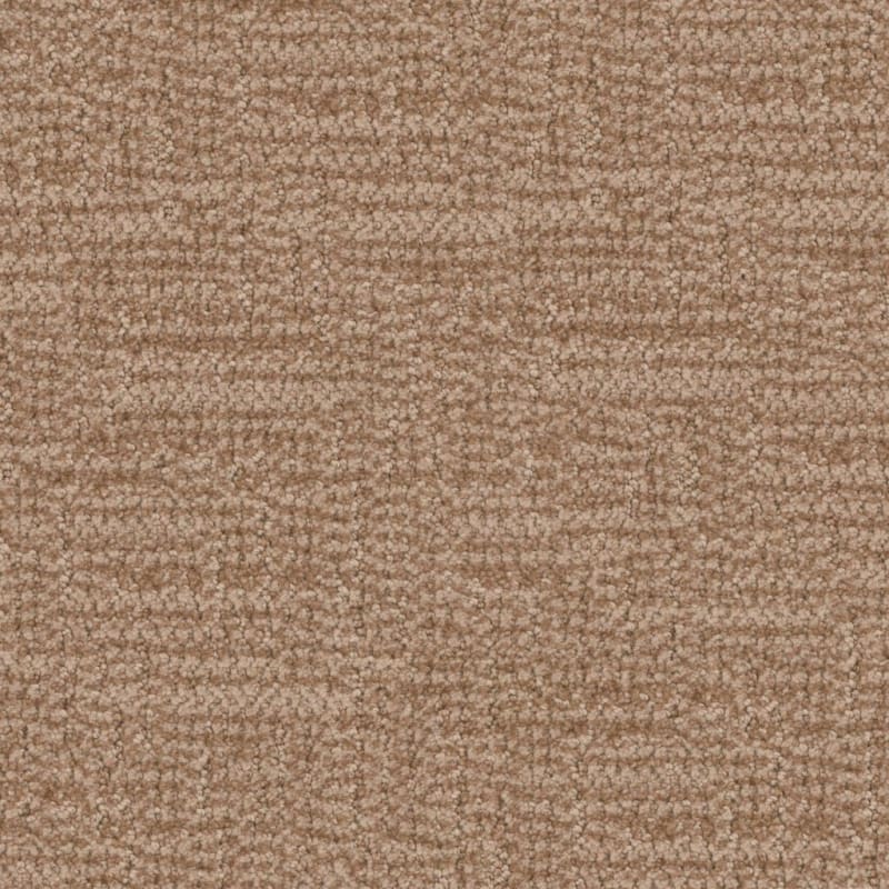 Prestigious carpet by Masland