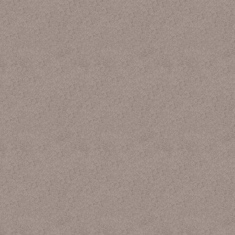 Embrace carpet by Masland