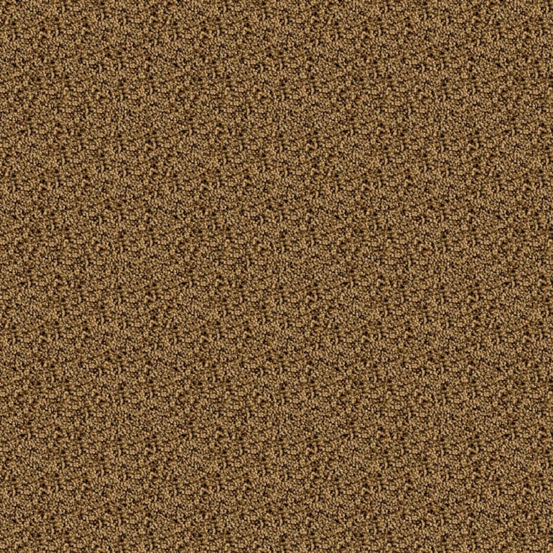 Shangri-La carpet by Masland