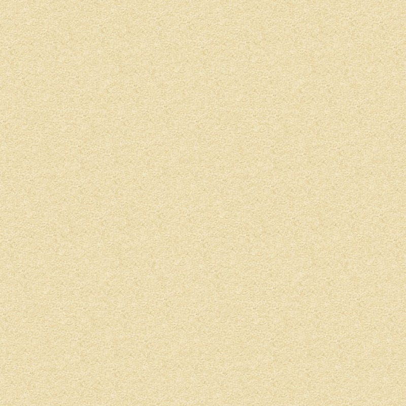 Vero Beach carpet by Masland