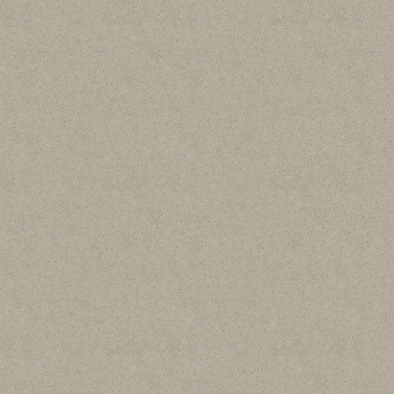 Embrace carpet by Masland
