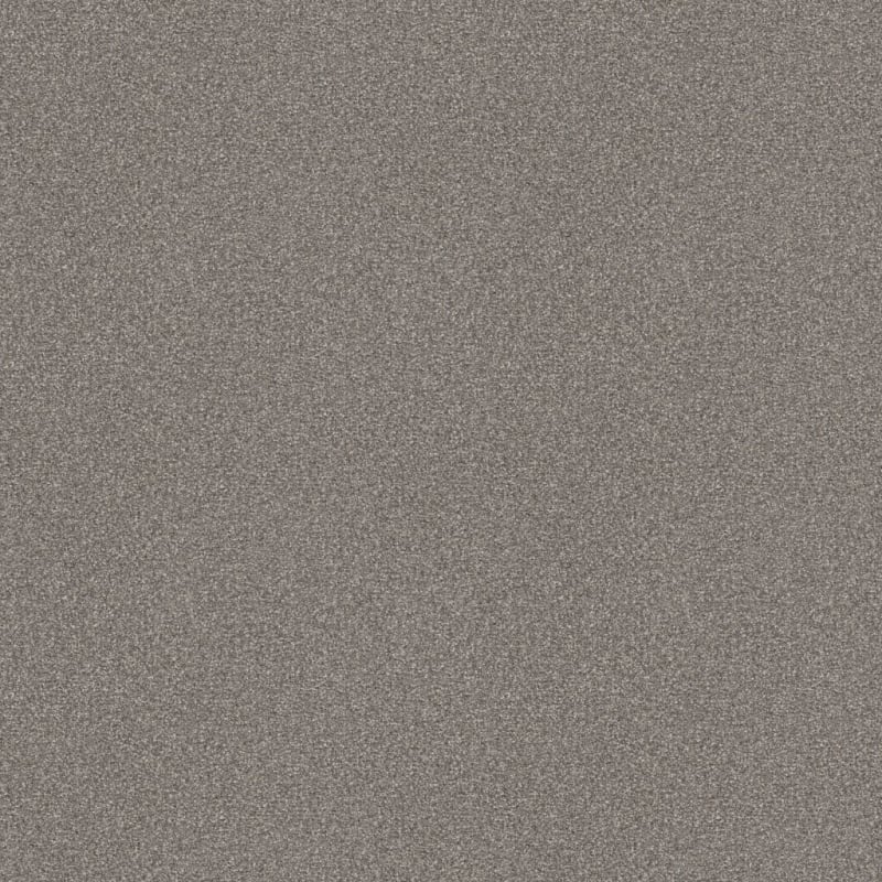 Hunter carpet by Masland