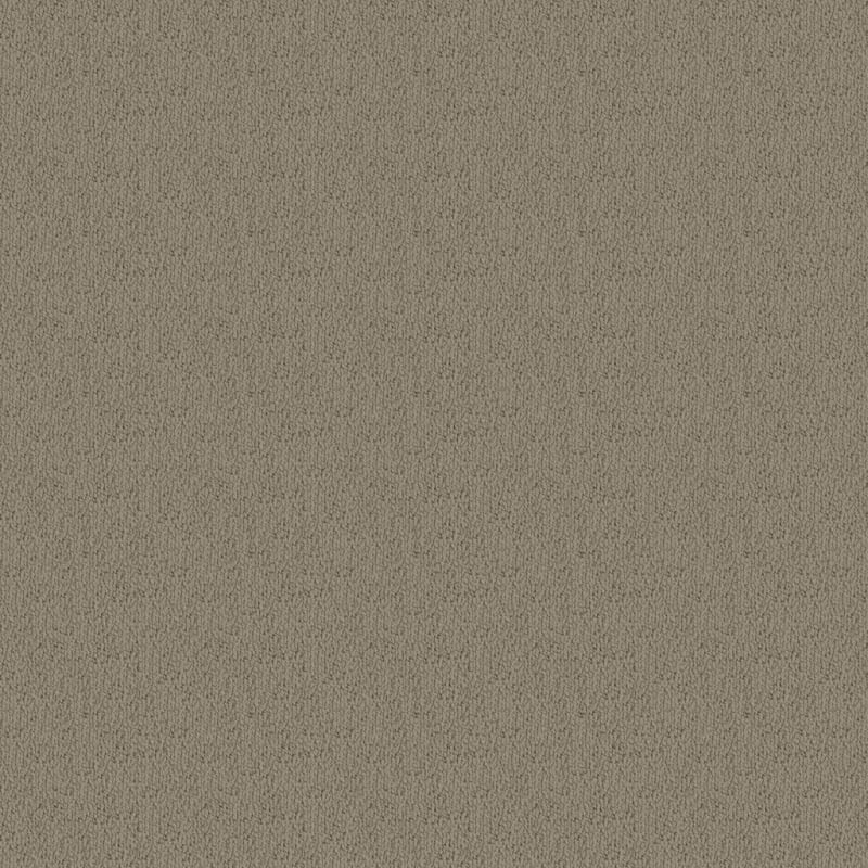 Novellino carpet by Masland