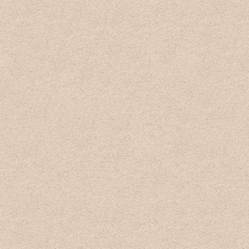 Knockout carpet by Masland