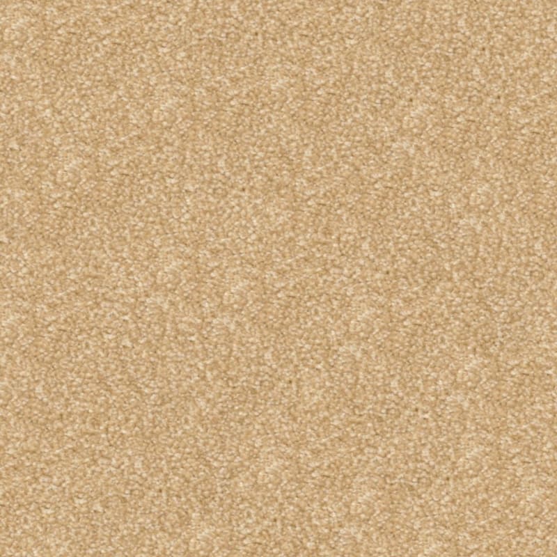 Beacon Hill carpet by Masland