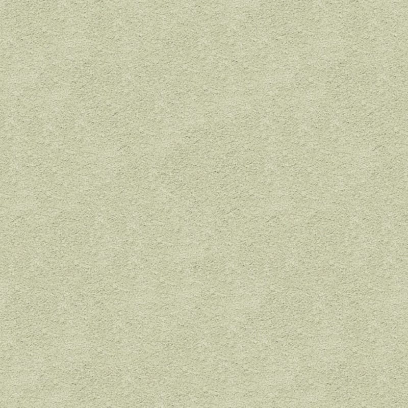 Knockout carpet by Masland