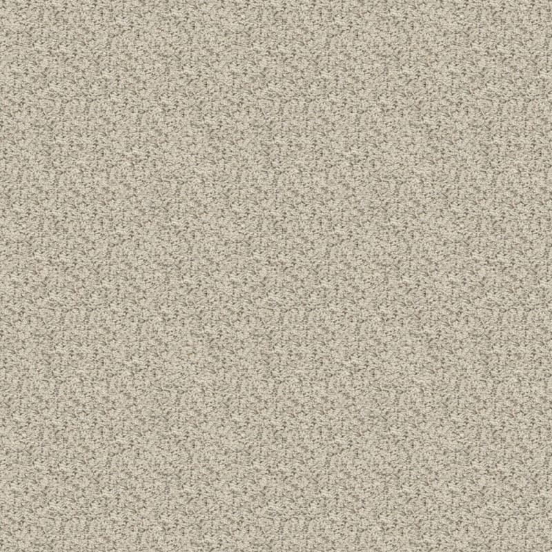 Sea Grass carpet by Masland