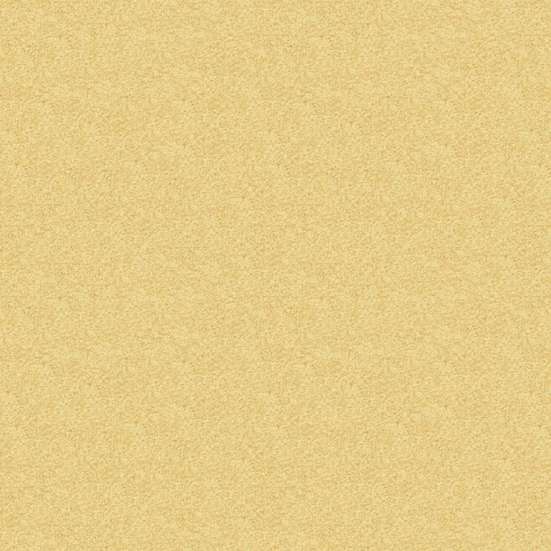 Vero Beach carpet by Masland