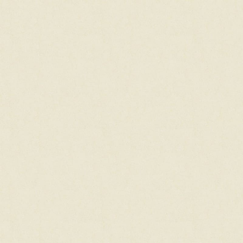 Americana carpet by Masland