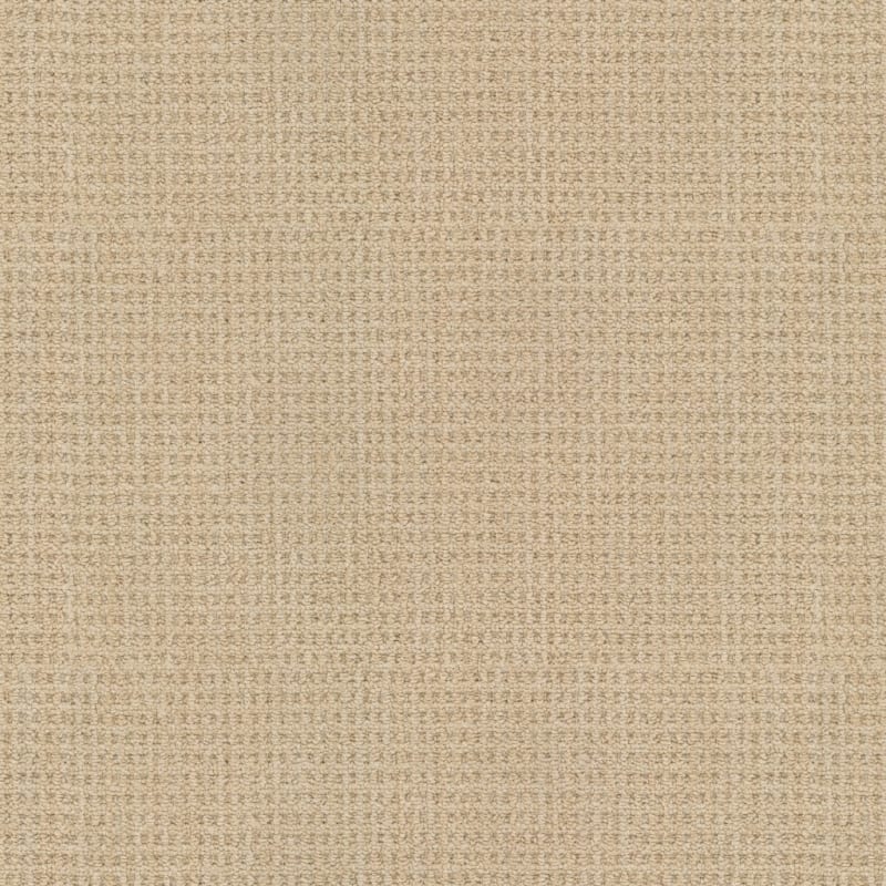 Winslow carpet by Masland