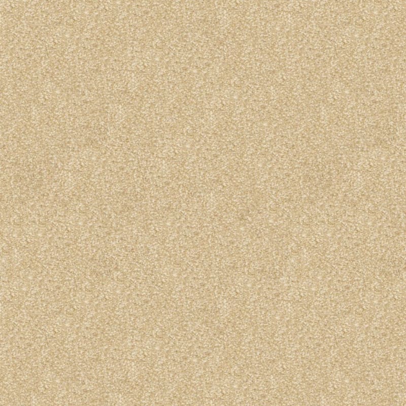 This And That carpet by Masland
