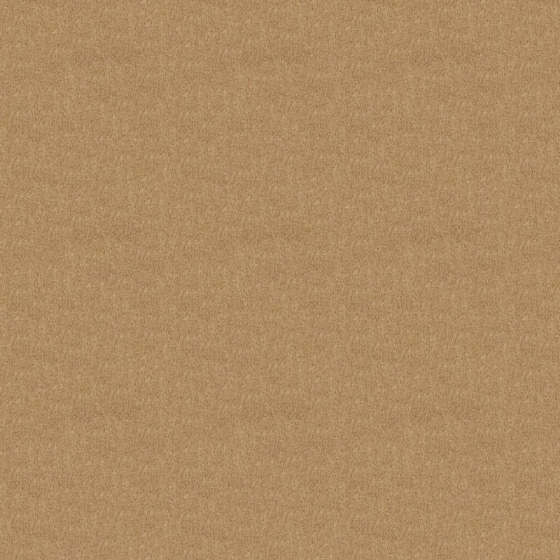 Miami carpet by Masland