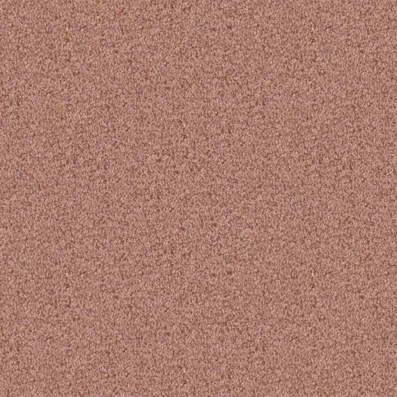 Santa Rosa carpet by Masland