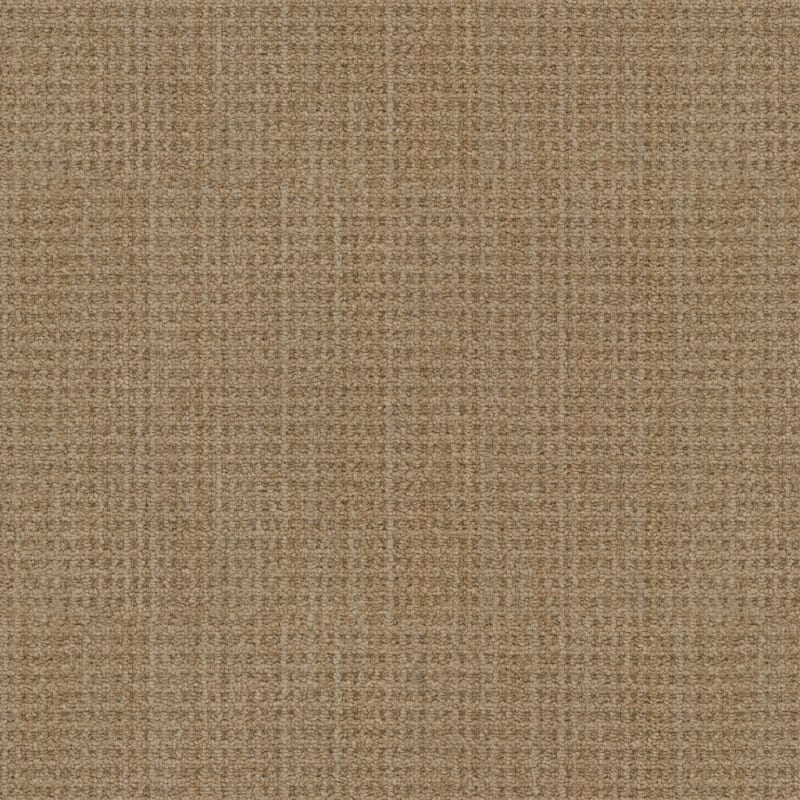 Winslow carpet by Masland