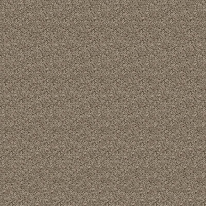 Shangri-La Too carpet by Masland