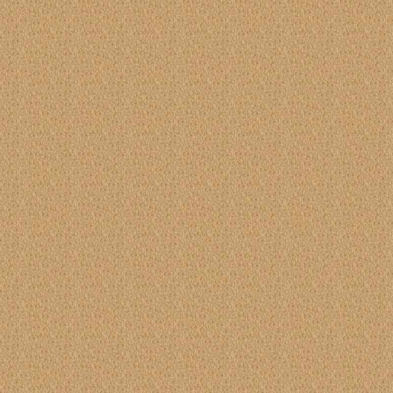 Casa Grande carpet by Masland