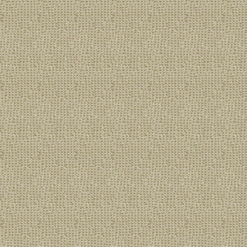 Tresor carpet by Masland