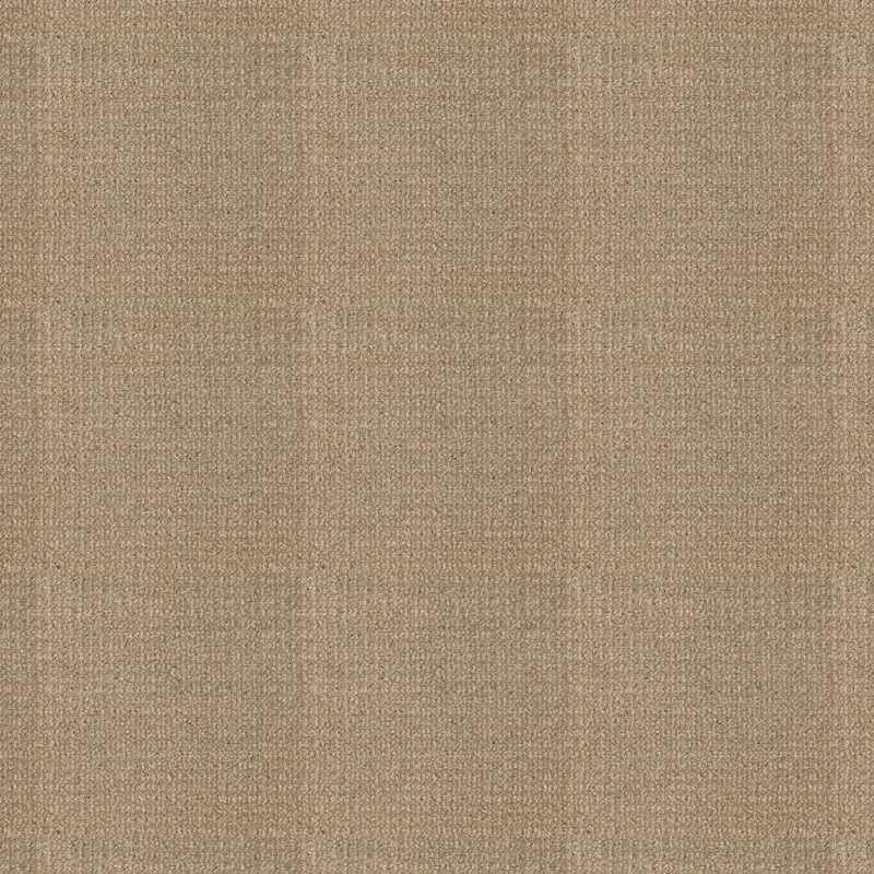 Grand Champion carpet by Masland