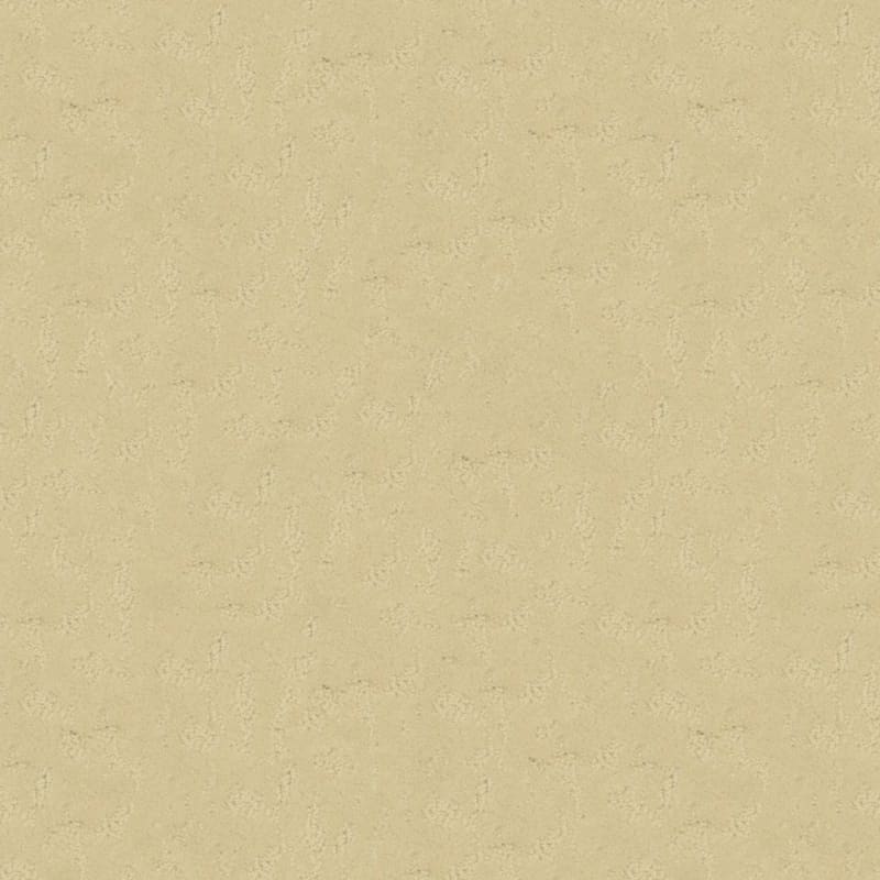 True Luxury carpet by Masland