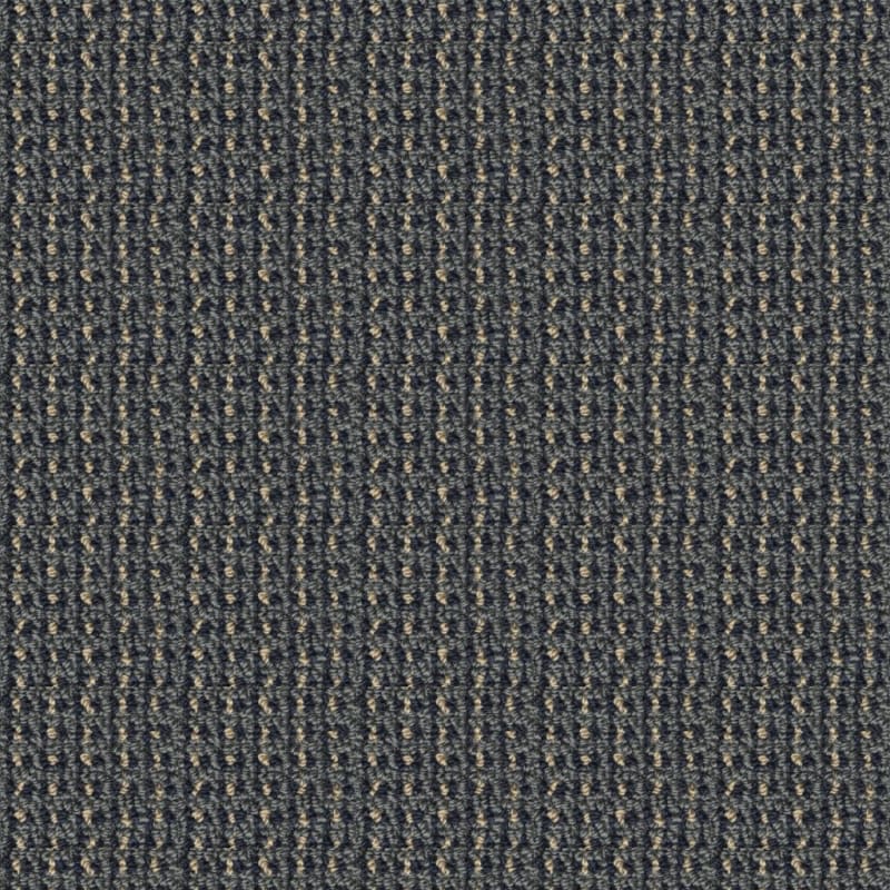 Tresor II carpet by Masland