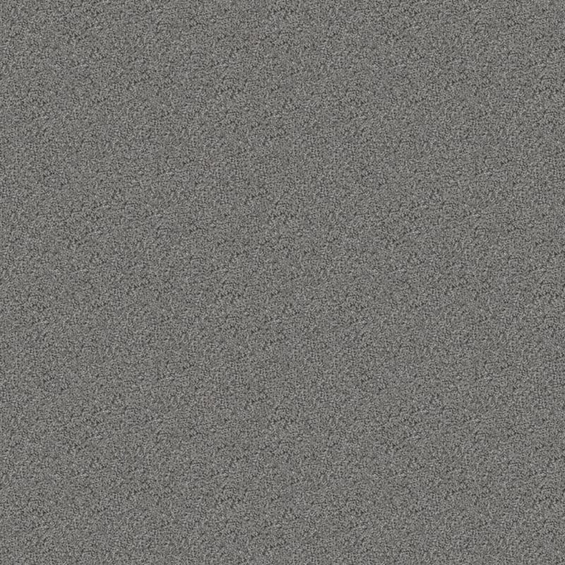 Hunter carpet by Masland