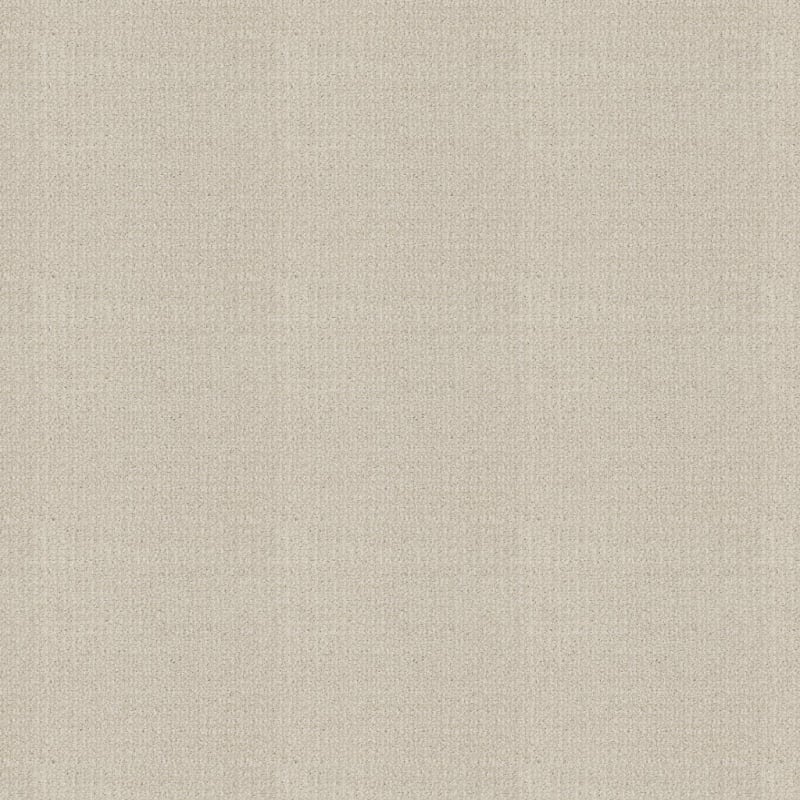 Grand Champion carpet by Masland