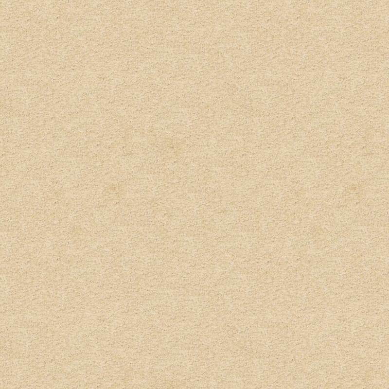 Knockout carpet by Masland