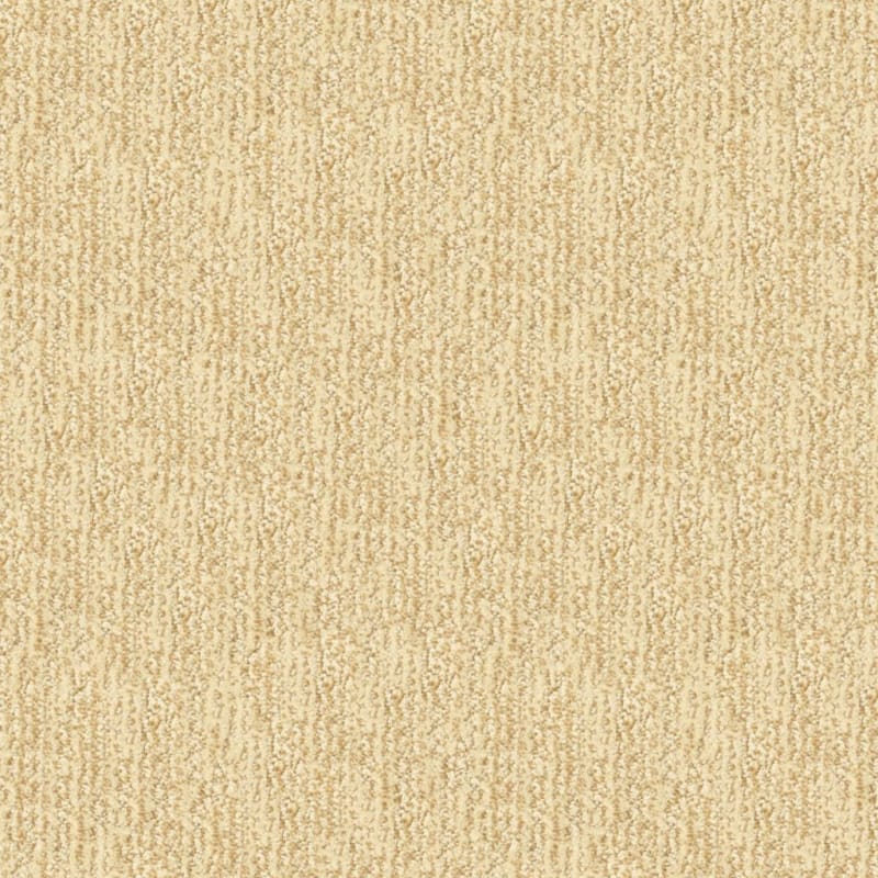 Mesa Verde carpet by Masland